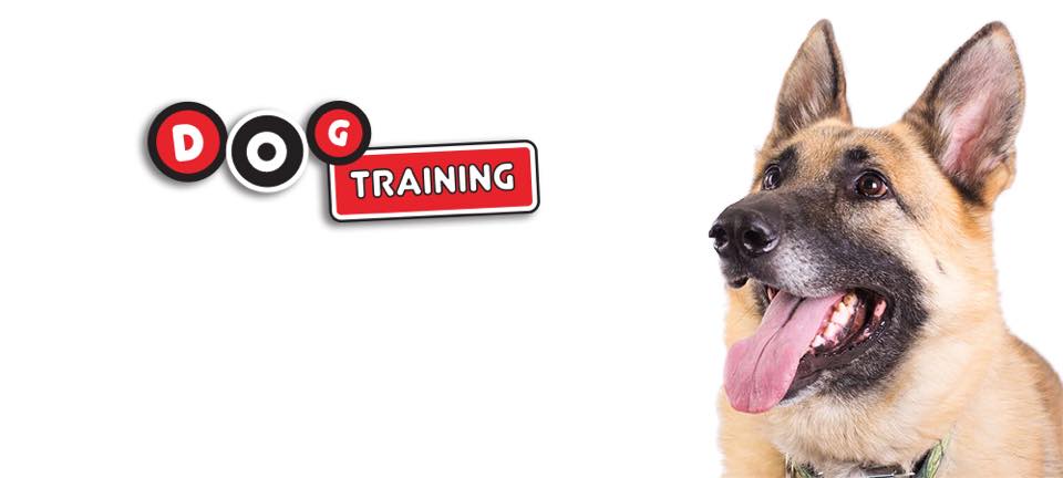 Dog Training for Raleigh, Durham, Cary & Chapel Hill, NC